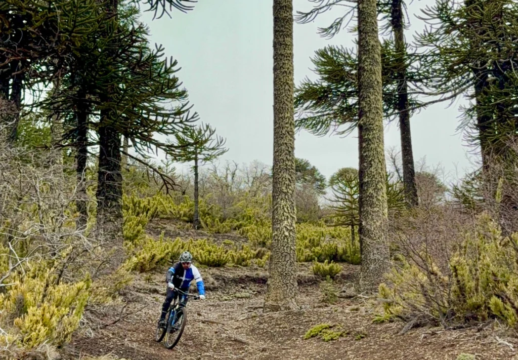 La Nueva Experiencia Deportiva Para Vivir En Villa Pehuenia Moquehue » Viajo Con Vos